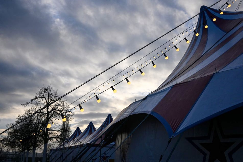 Der Zirkus auf dem Wasen ist perfekt für Familien, die dem grauen Wetter entfliehen wollen. (Symbolfoto)