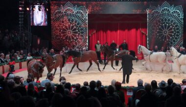 Dresden: Zugabe im Dresdner Weihnachts-Circus