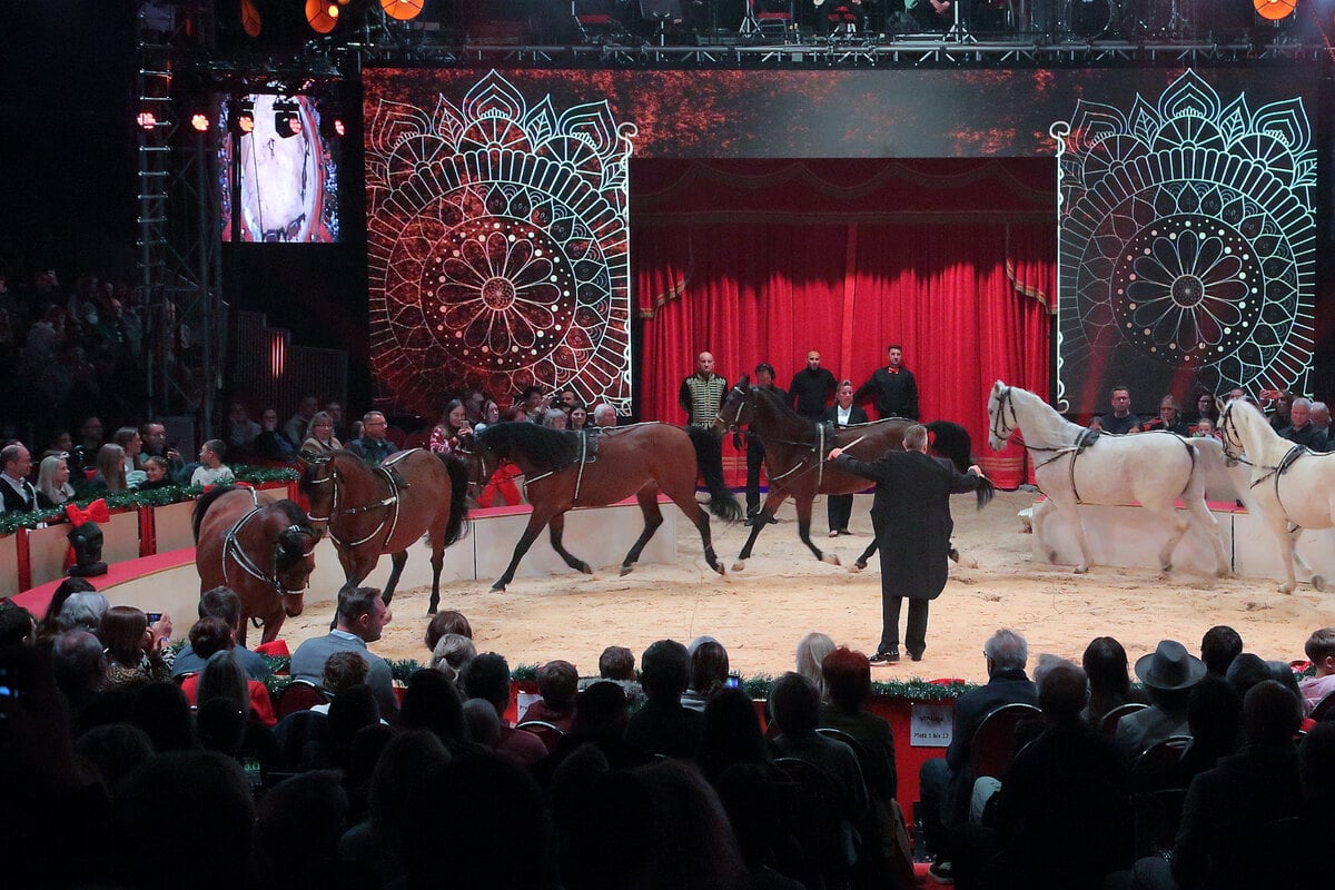 Dresden: Zugabe im Dresdner Weihnachts-Circus