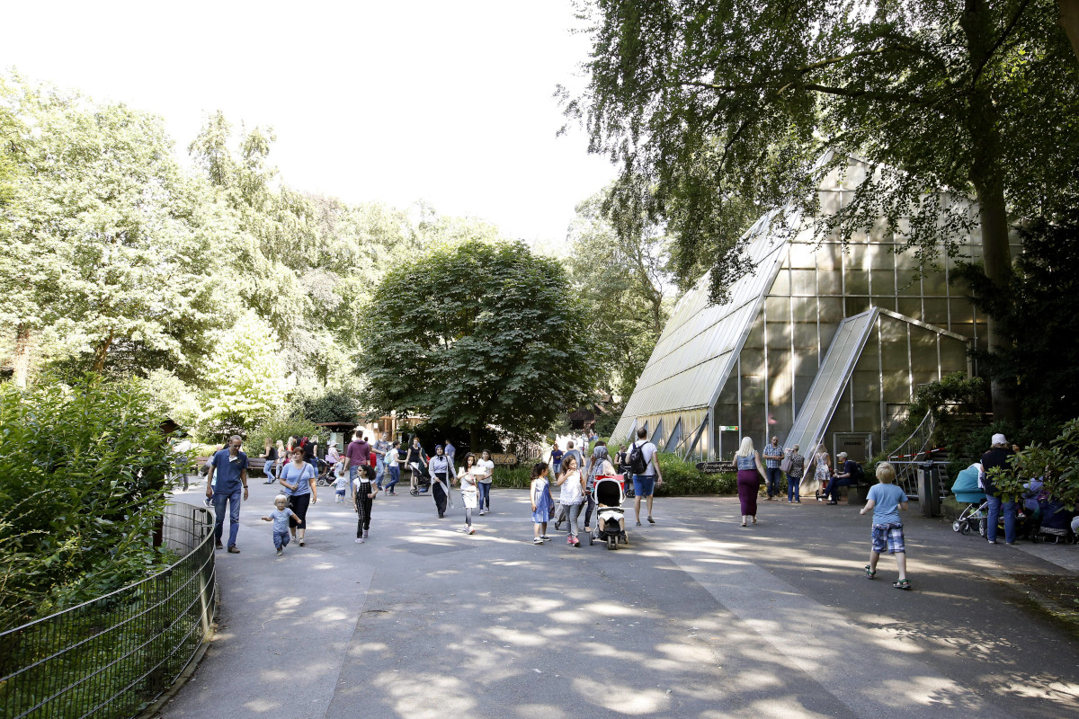 Zoo Dortmund muss Besucher-Liebling einschläfern – „Oh nein“