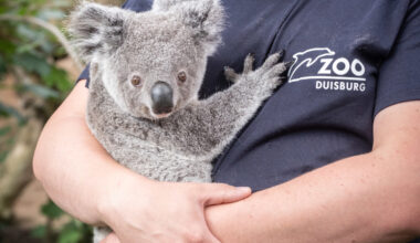 Zoo Duisburg mit wichtiger Ticketinfo - es geht ums Wochenende