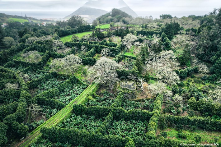 (Pressemitteilung) Europäischer Rechnungshof: Agrarförderung für Übersee-Regionen der EU muss auf den Prüfstand