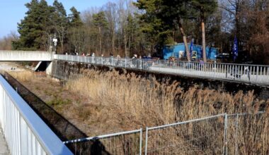Warum an Lech und Wertach ab Montag Bäume gefällt werden