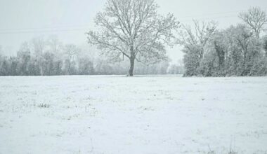 Schneebedeckte Landschaft in der Normandie