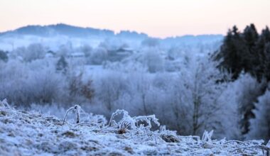 Klirrende Kälte – So eisig wird es in Bayern