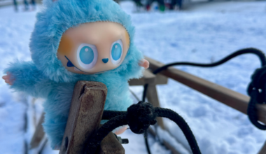 Winterferien 2026 in der Johannstadt – Johannstadt.de