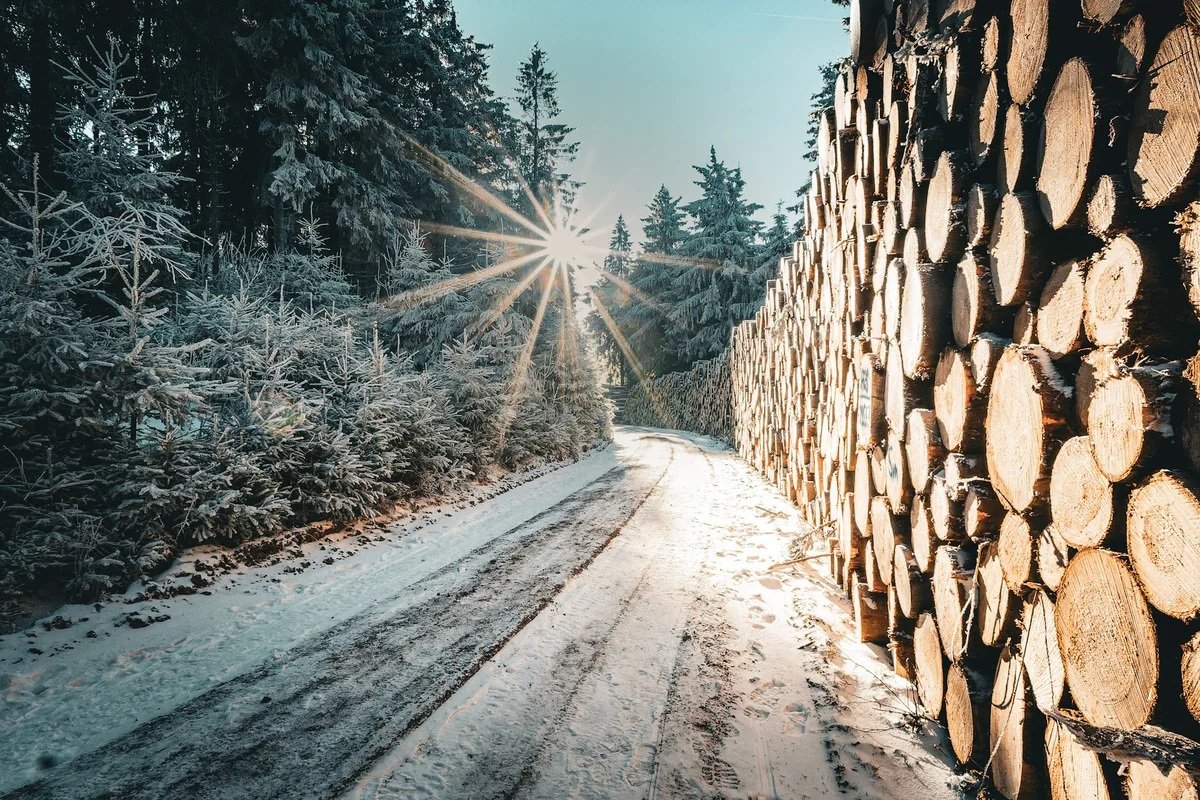 Nebel, Mond, Winterlicht: Die Bilder der Woche 1