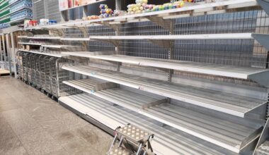 Eier-Krise: Leere Regale auch in Köln – das steckt dahinter