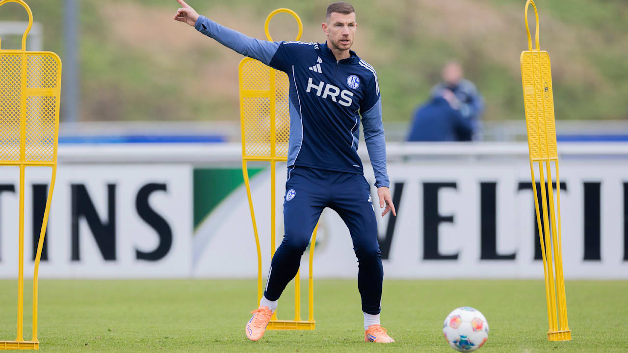 Flucht vor Dzeko: Bester Stürmer von Schalke 04 wechselt nach Amerika - BILD