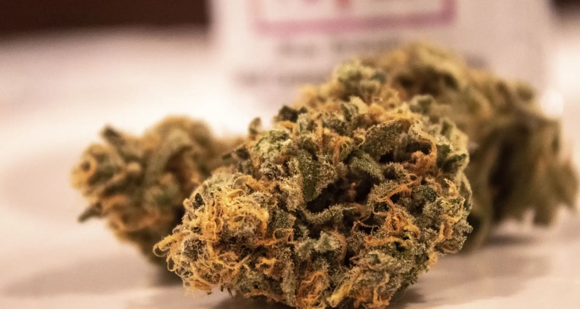 Razzien im Drogenmilieu: Polizei greift gleich vier mutmaßliche Dealer auf - Neumarkt und Kalk