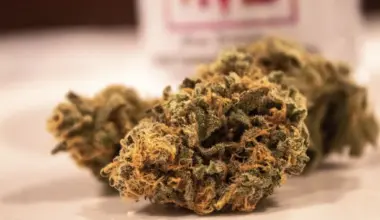 Razzien im Drogenmilieu: Polizei greift gleich vier mutmaßliche Dealer auf - Neumarkt und Kalk