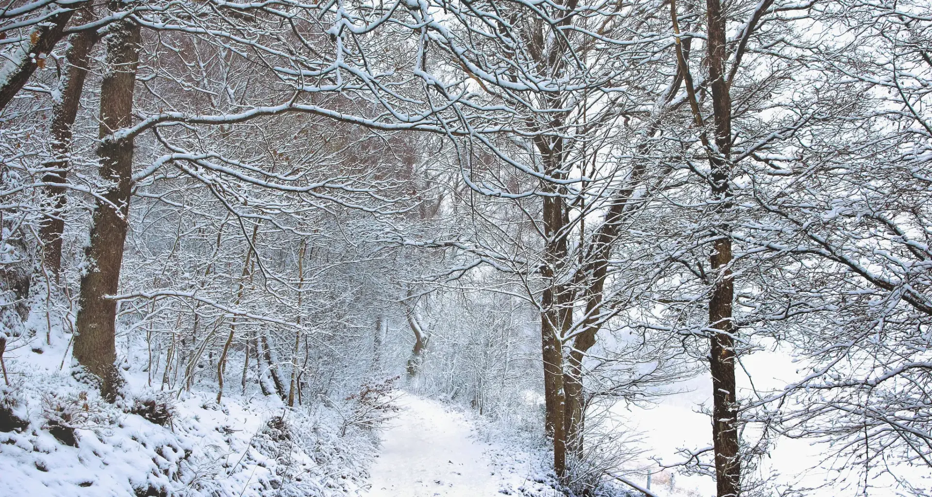 Dein Lieblingsfoto: Welches Foto sollen wir posten?