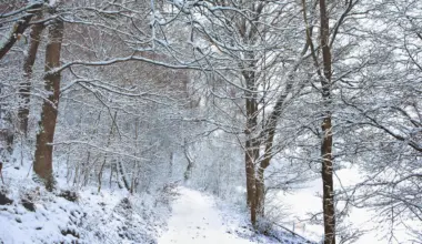 Dein Lieblingsfoto: Welches Foto sollen wir posten?