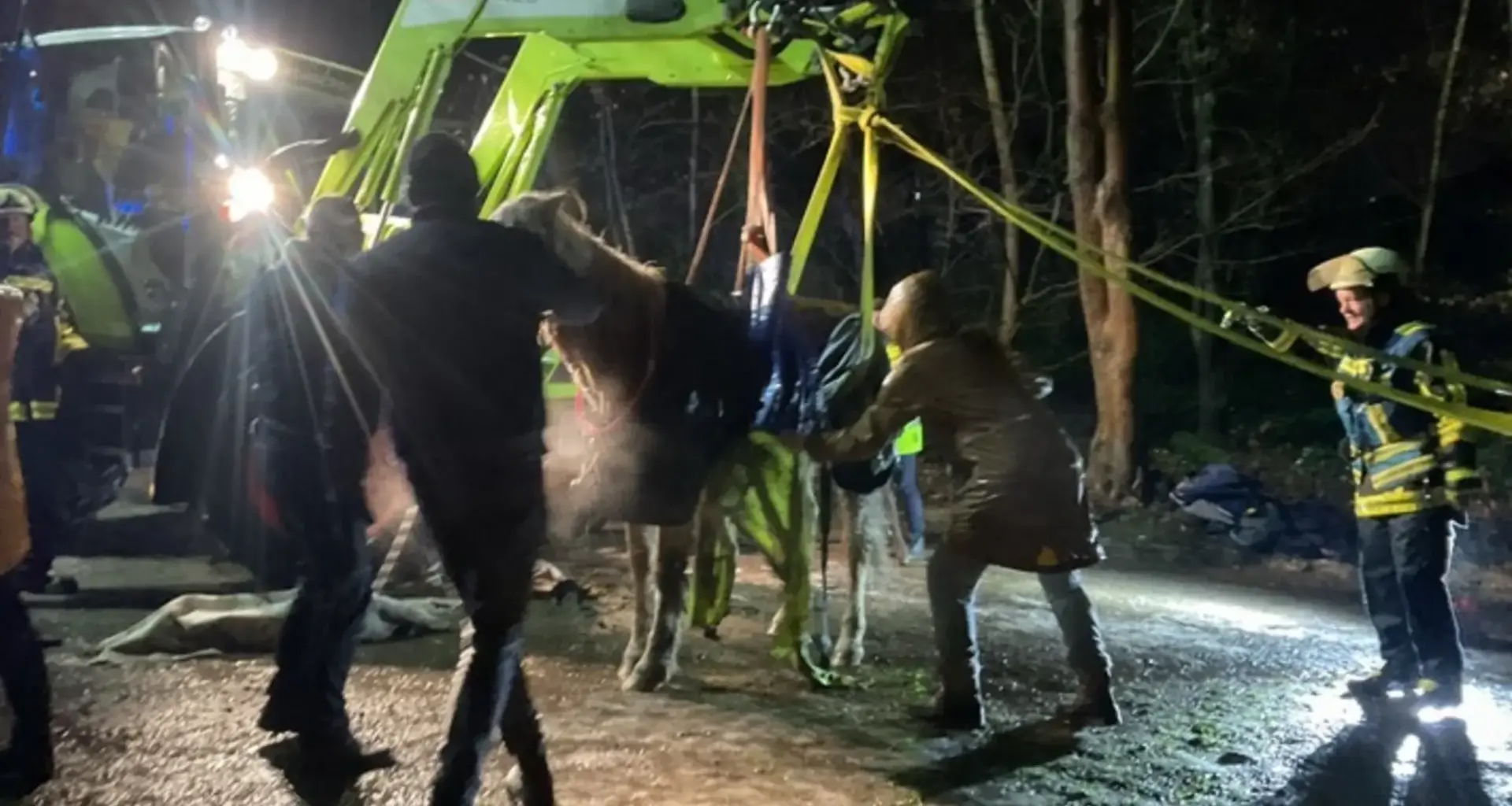 Blaulicht-Meldungen der Feuerwehr Bochum: Gestürztes Pferd in Wattenscheid - Höntrop: Feuerwehr Bochum leistet Unterstützung