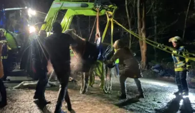 Blaulicht-Meldungen der Feuerwehr Bochum: Gestürztes Pferd in Wattenscheid - Höntrop: Feuerwehr Bochum leistet Unterstützung