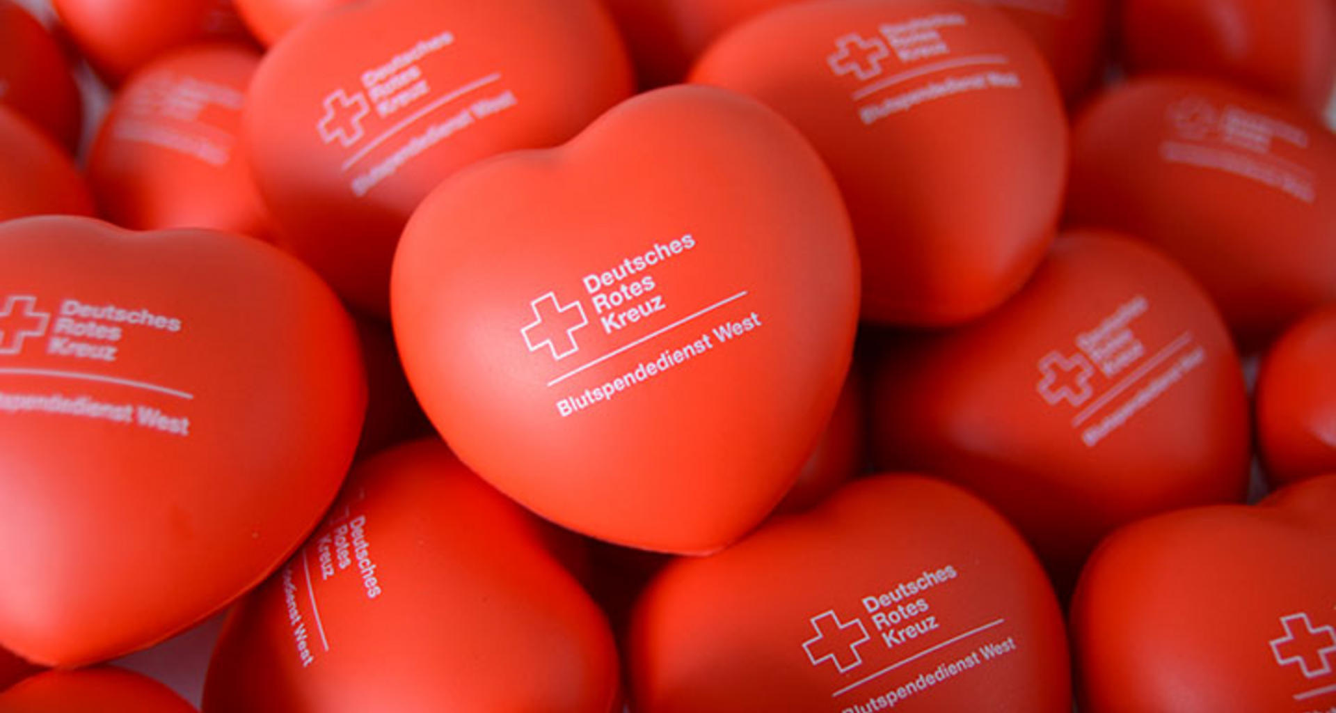 DRK-Kreisverband Wattenscheid e.V.: Blutspende im besonderen Ambiente – DRK lädt ins Schley’s Blumenparadies ein