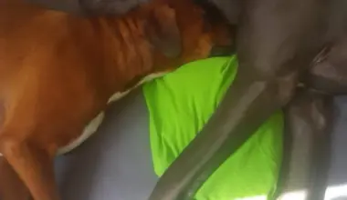 Petra Reth: Übrigens, ich heiße Sinan