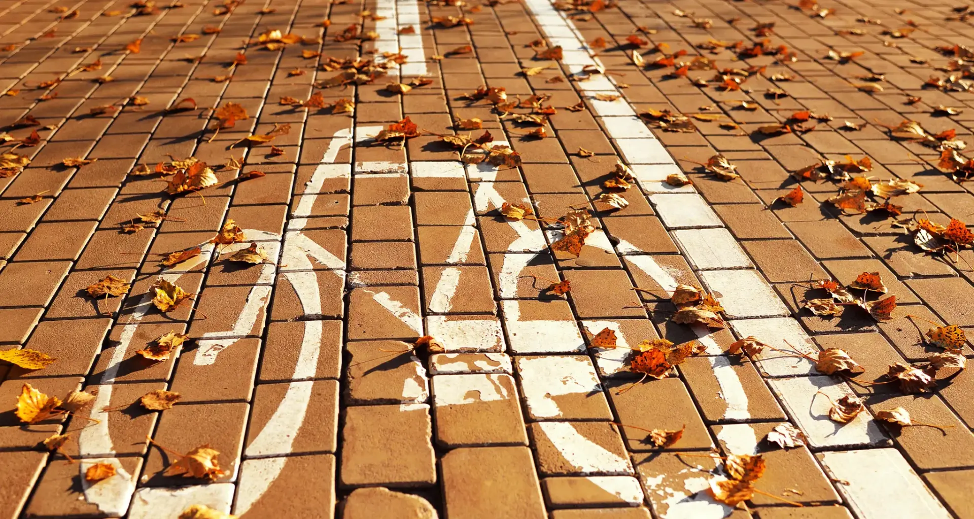 Rücksichtslos und gefährlich: Wer legt Steine auf einen Radweg?! Polizei sucht Zeugen!