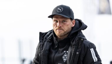 Borussia Mönchengladbach: Eugen Polanski kehrt nach Hoffenheim zurück | Sport