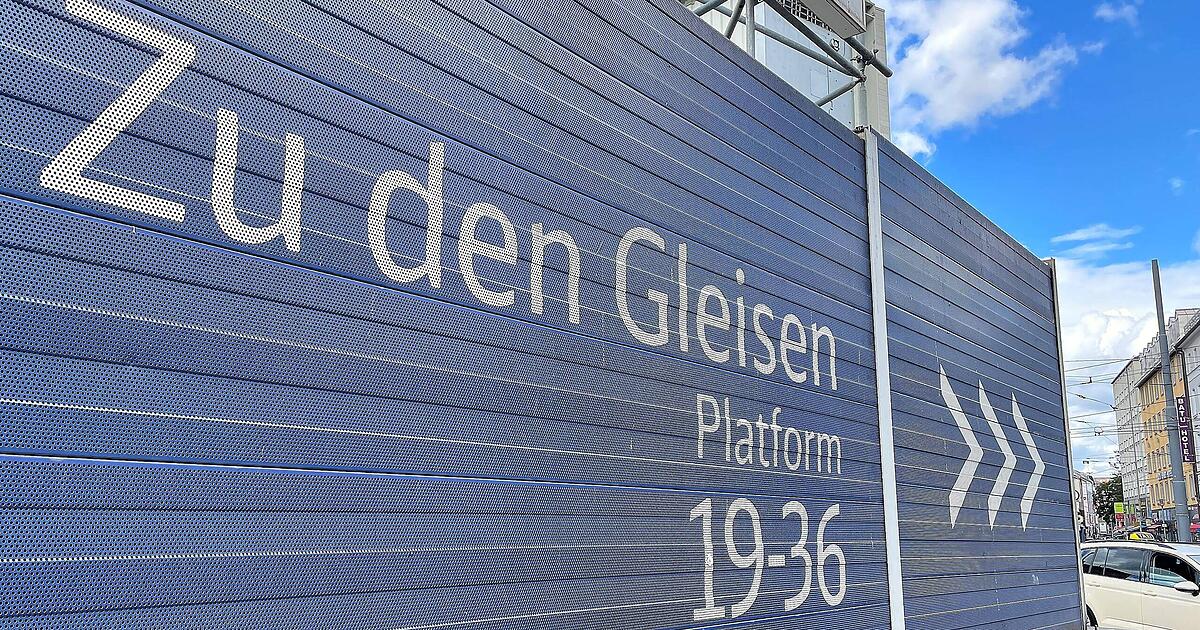 Betrunken am Hauptbahnhof: 17-Jähriger stürzt und gerät unter Zug