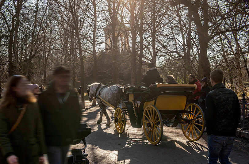 Bei Schnee noch schöner und angenehm entschleunigend: Eine Kutschfahrt durch den Englischen Garten.