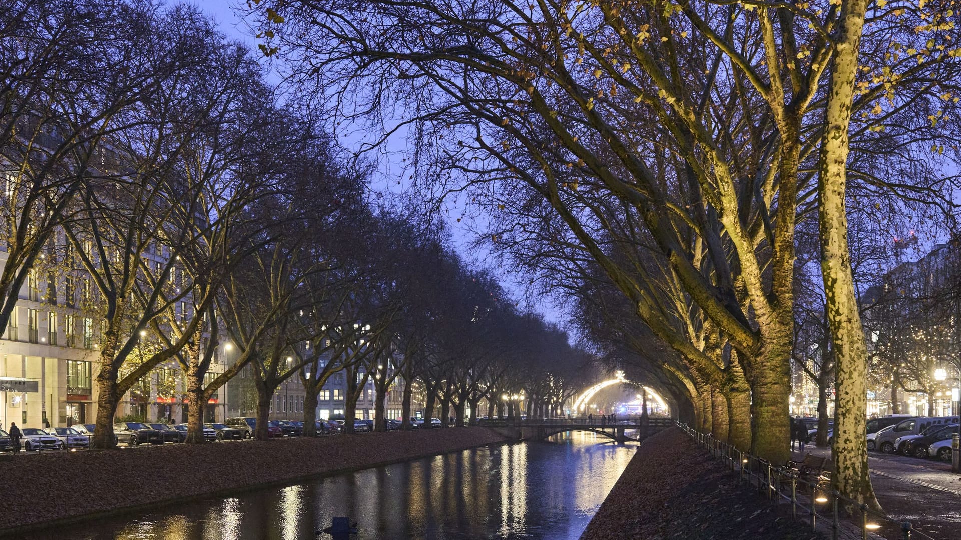Der Düsseldorfer Kö-Graben in der Weihnachtszeit (Archivbild): 88 Bäume werden derzeit zurückgeschnitten.