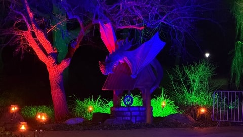 Winterlichter: Ein angestrahlter Drache sitzt auf einem Brunnen