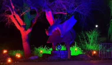 Winterlichter: Ein angestrahlter Drache sitzt auf einem Brunnen