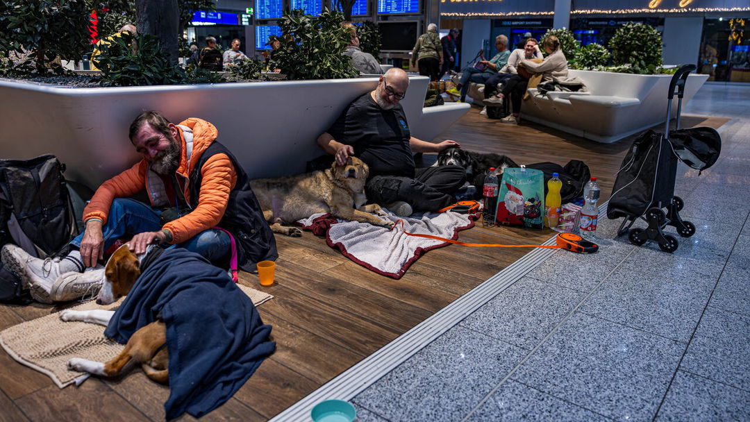 Hunderte Hunde finden während Silvester Zuflucht am Flughafen
