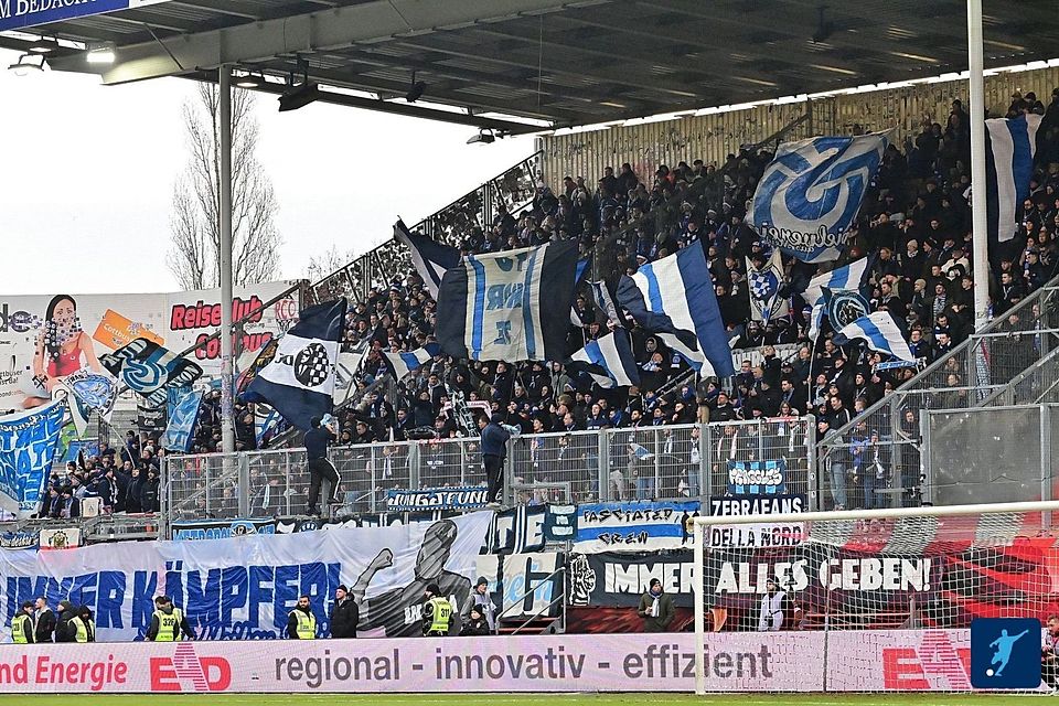 Die meistgeklickten Teams am Niederrhein: MSV Duisburg