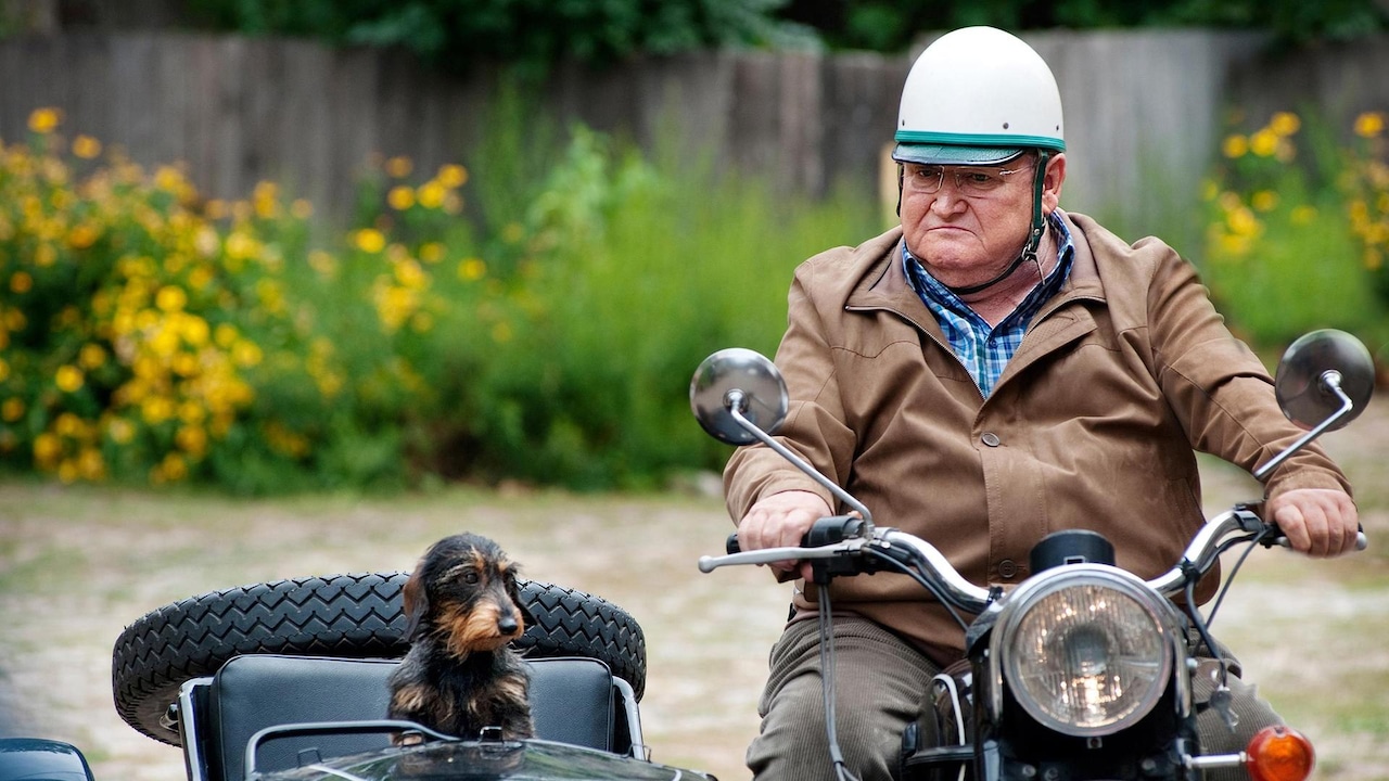 Krauses Umzug • Spielfilm Deutschland 2019