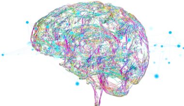 Vier Wendepunkte im Laufe eines Lebens – News – Deutsches Ärzteblatt