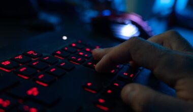 Hackerangriff auf "The Länd"-Shop: Mehrere Kunden geschädigt