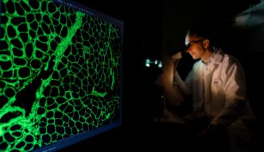 Medizin: Welche klinischen Studien 2026 wichtig werden