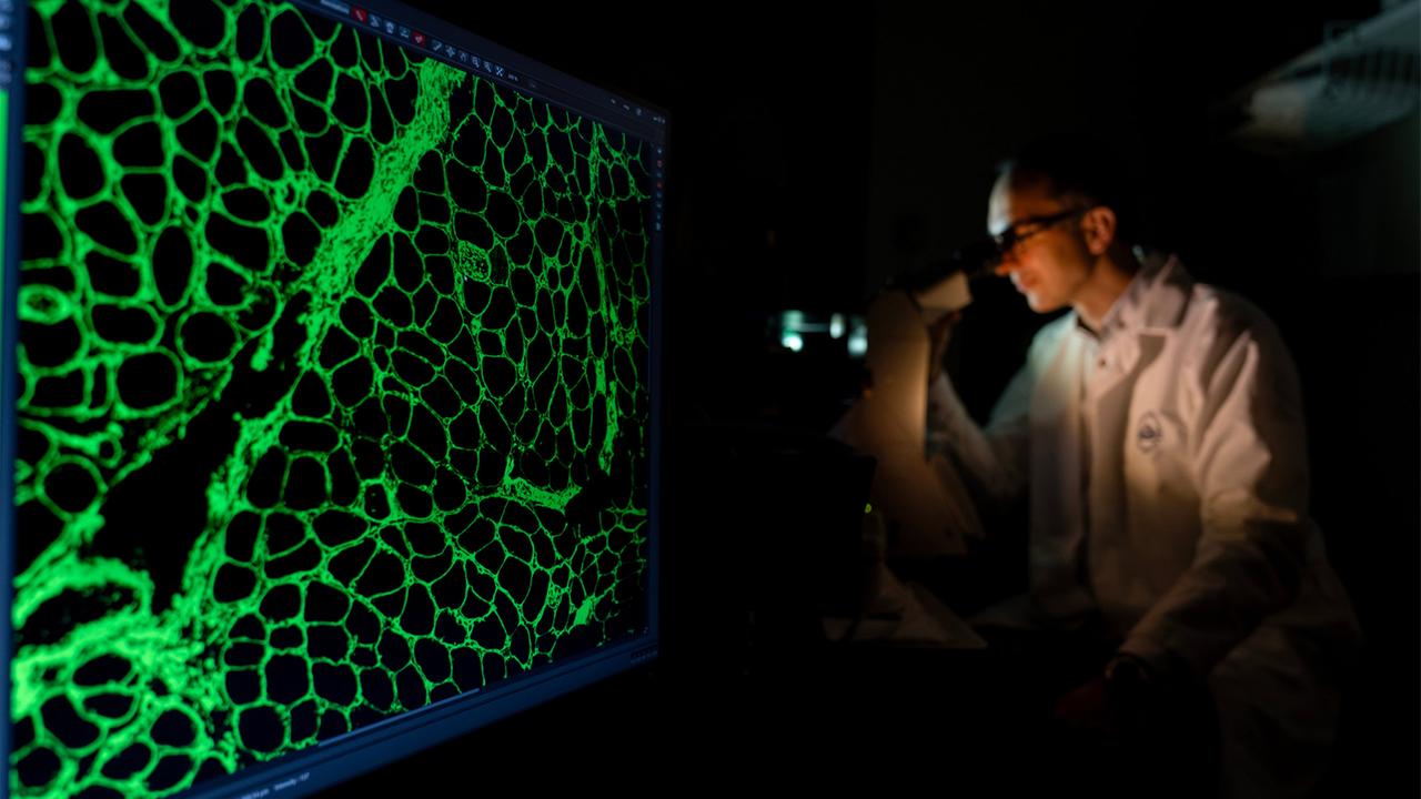 Medizin: Welche klinischen Studien 2026 wichtig werden