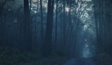 Mädchen verirren sich in Krefeld im Wald – App bringt Happy End