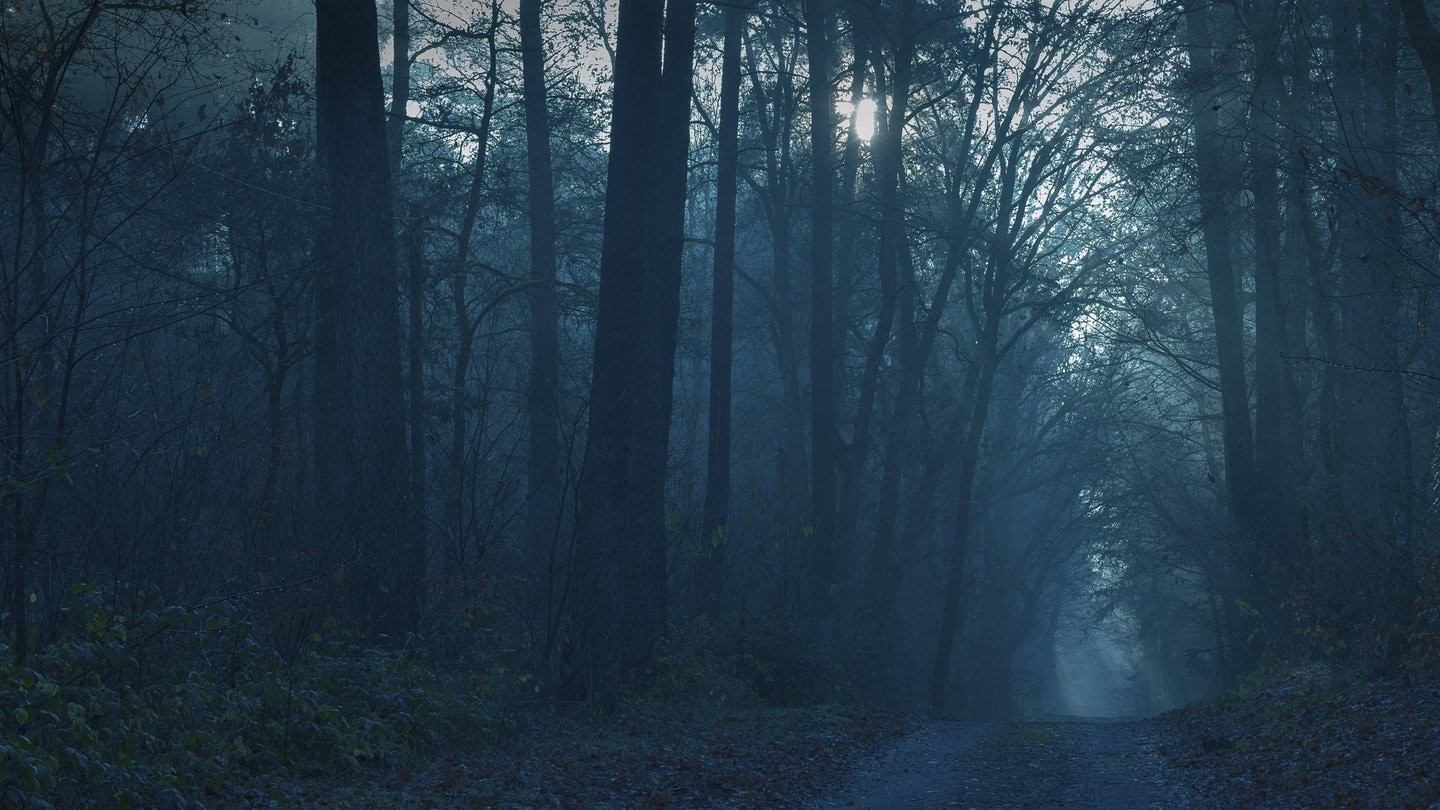 Mädchen verirren sich in Krefeld im Wald – App bringt Happy End