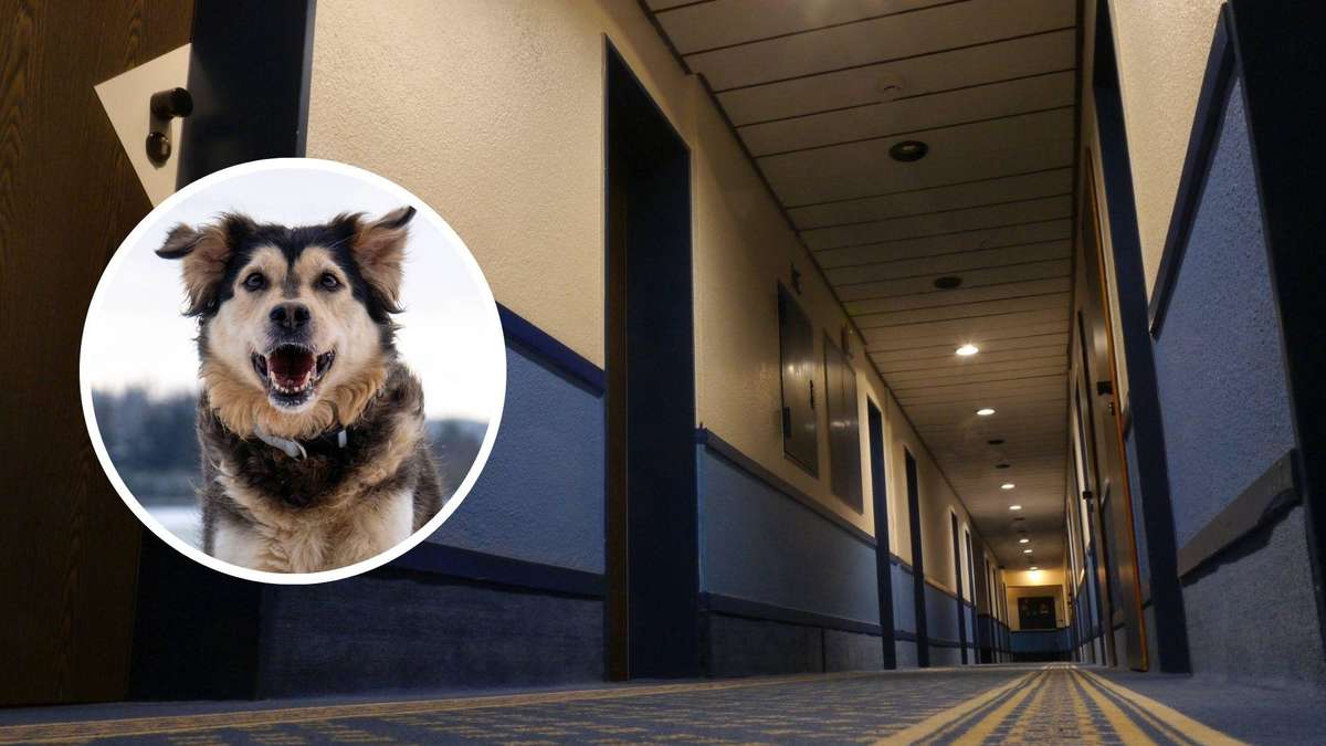 Familie wird von eigenem Hund in Münchner Hotelzimmer festgehalten