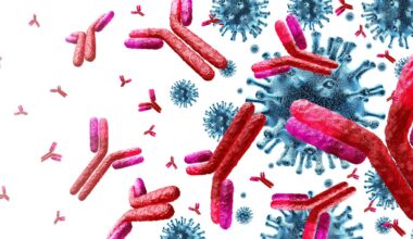 Wie einzelne Mutationen die Wirkung von Antikörpertherapien verhindern können – News – Deutsches Ärzteblatt