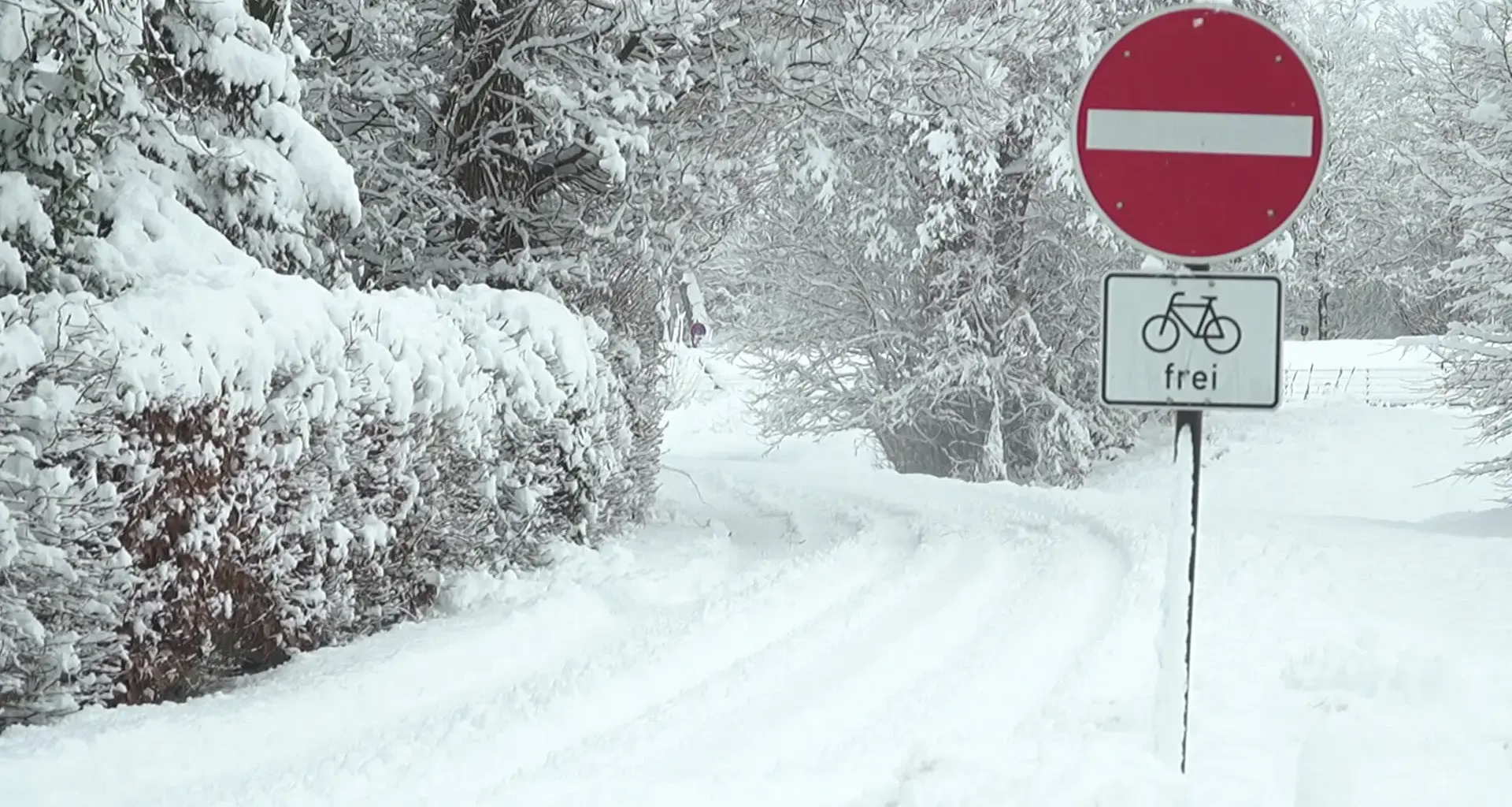 Schneesturm im Anmarsch: Dieses Wetter kommt am Freitag auf SH zu