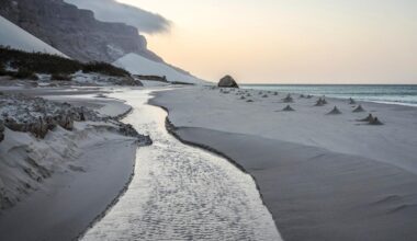 Jemen: Hunderte Touristen stecken auf jemenitischer Insel Sokotra fest
