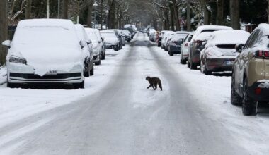 Winterwetter hält in Berlin und Brandenburg weiter an