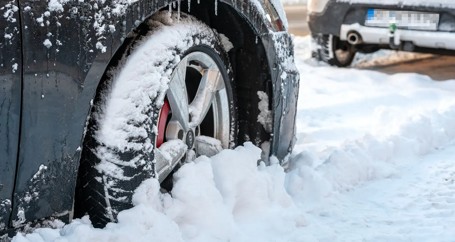 Schneesturmtief "Elli": So bereitet sich Schleswig-Holstein vor