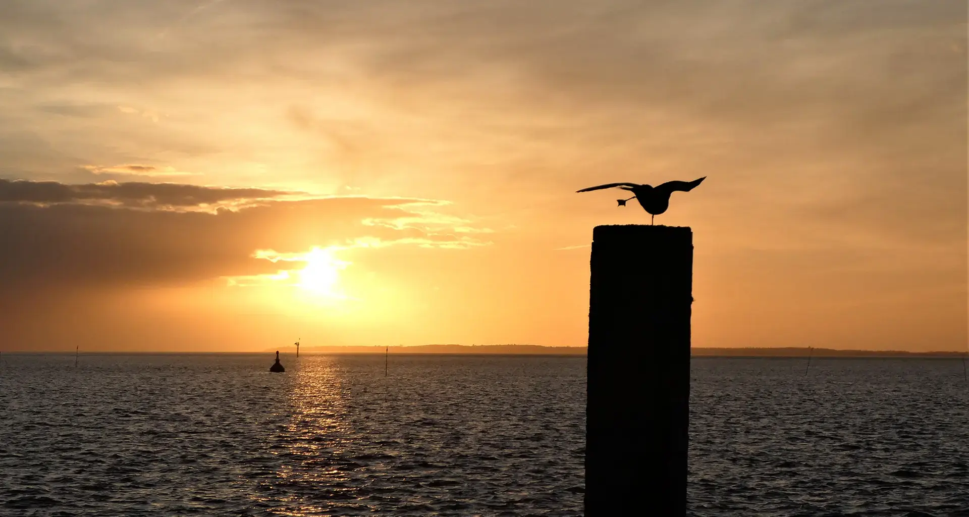 Klimawandel: Nordsee war 2025 so warm wie noch nie