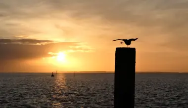 Klimawandel: Nordsee war 2025 so warm wie noch nie