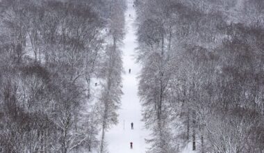 Winterliches Sturmtief mit viel Neuschnee, gefrierendem Regen und starkem Ostwind im Anmarsch