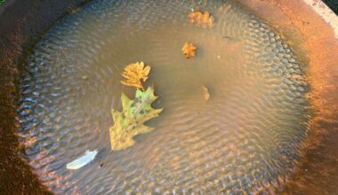 Veranstaltungsreihe: Wasser – Mensch – Zukunft