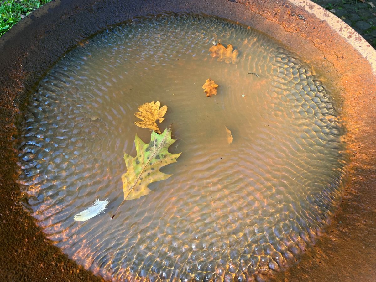 Veranstaltungsreihe: Wasser – Mensch – Zukunft