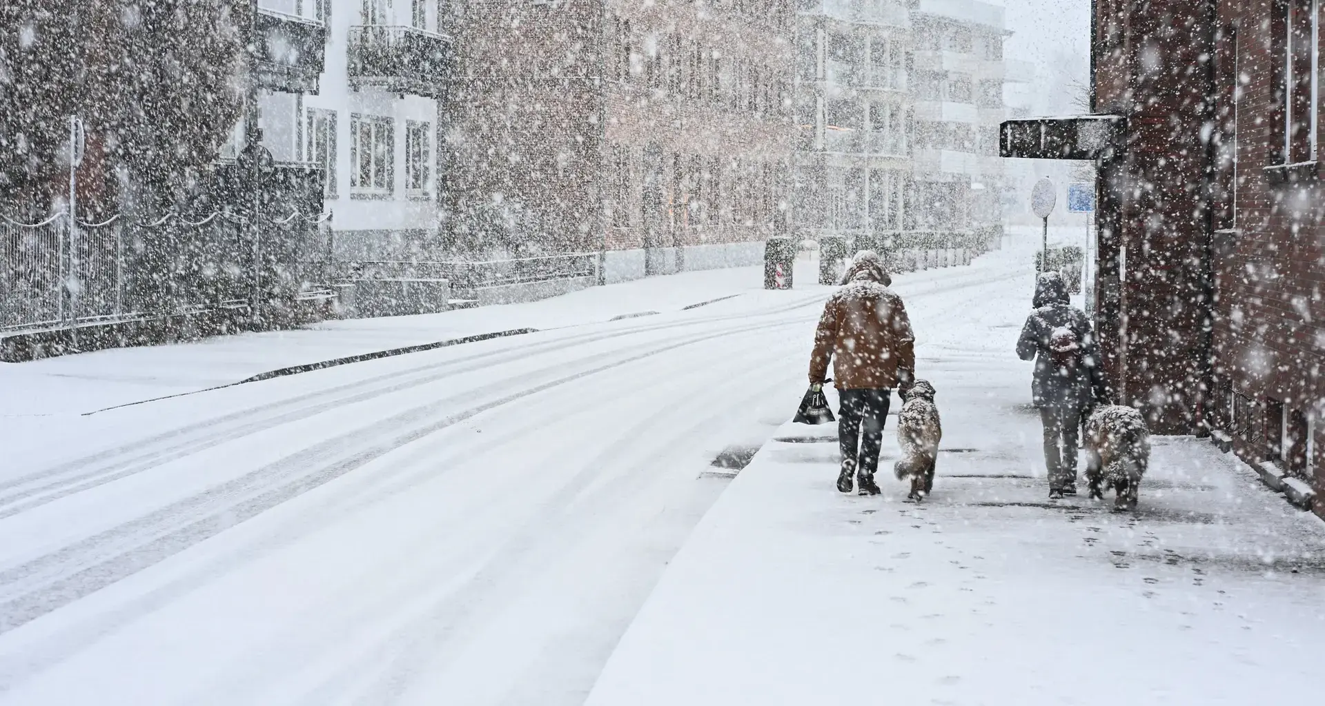 Deutscher Wetterdienst warnt vor starken Schneeverwehungen