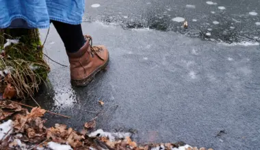 Auf zugefrorenem See eingebrochen: Kind in Mölln gerettet - Hund tot